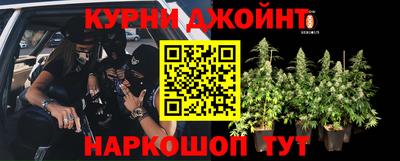 шишки Кулебаки