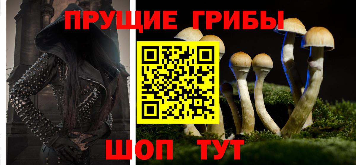 Псилоцибиновые грибы мухоморы  Вход с VPN  Дзержинский  Галлюциногенные грибы Psilocybe 